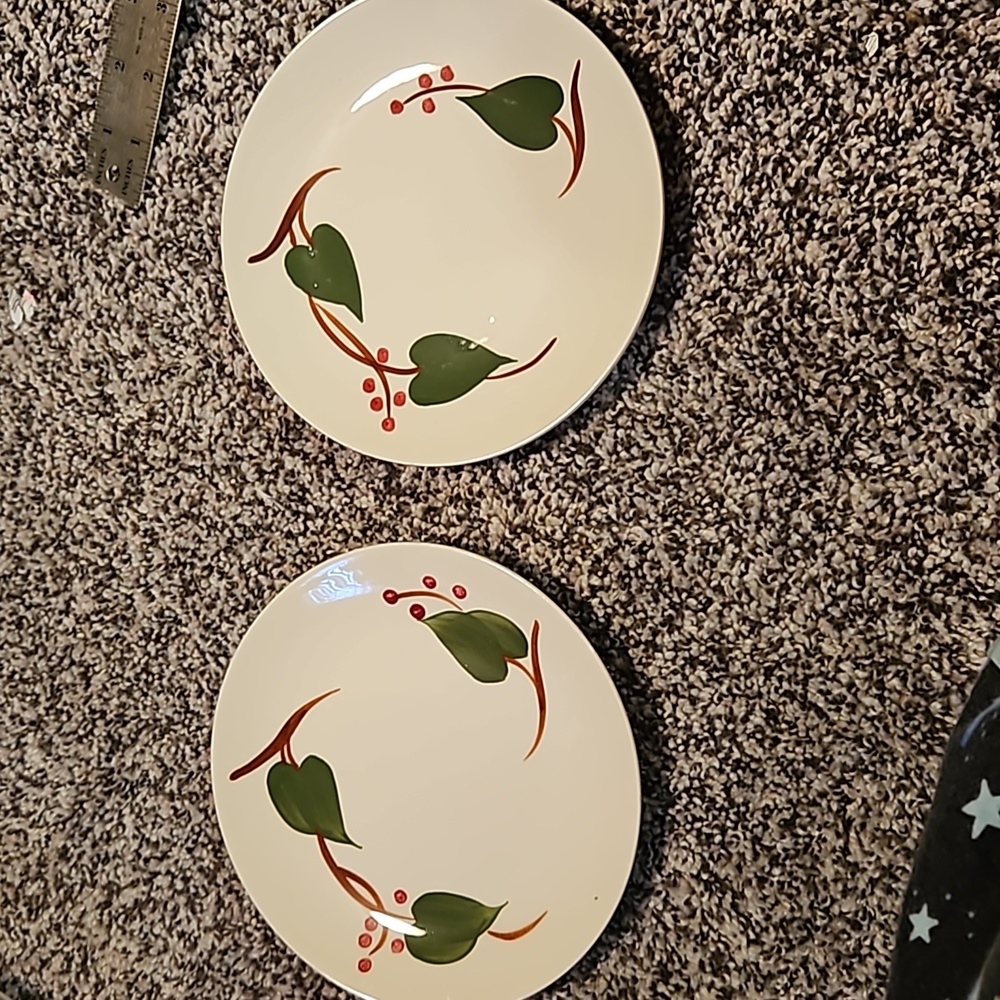 Stanhome Ivy by blue Ridge Southern Pottery. Set of 2 Bread and Butter plates